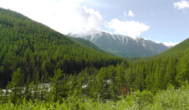 Горный Алтай