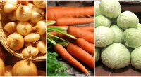 Ціни на цибулю, моркву та капусту