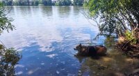 Прогноз погоди в Україні