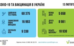 Статистика по коронавирусу на утро 14 февраля
