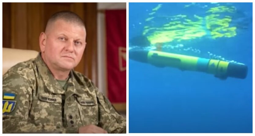 Валерий Залужный, морские дроны, война россии против Украины