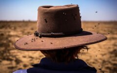 Изменение климата в Украине