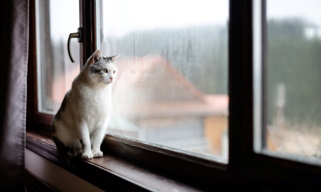 Прогноз погоди у листопаді / Фото: Envato Elements