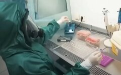 Pfizer заявил о прорыве в тестировании вакцины против коронавируса