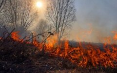 Пожарная опасность