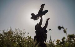 В Сочи прогремели взрывы: детали