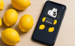 Охота на лимоны в monobank