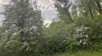 Прогноз погоды в Украине