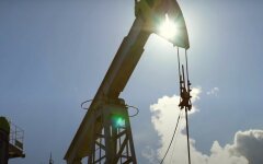 Падение цен на нефть,Юрий Витренко,Нафтогаз,Газпром,транзита газа,прибыль для Украины