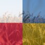 Украина и Польша, сельское хозяйство