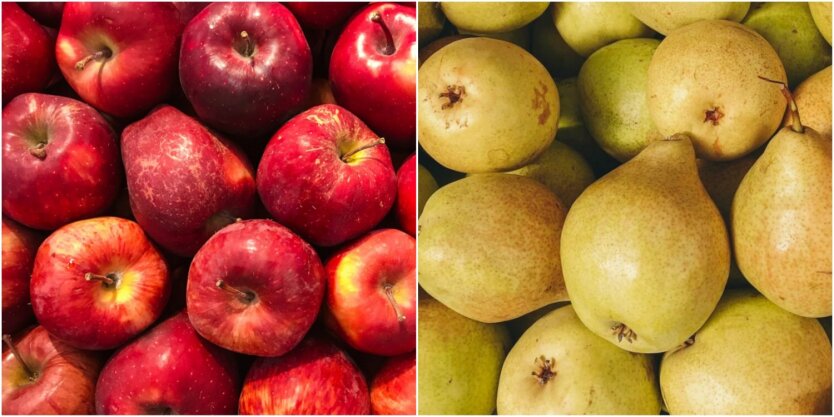 Ціни на яблука та груші