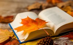 Прогноз погоди в Україні