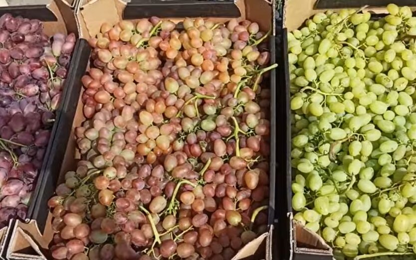 Ціни на виноград