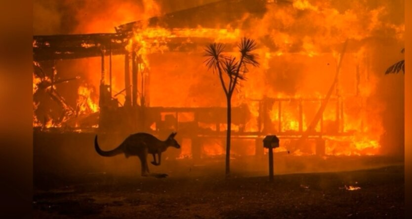 пожары в Австралии