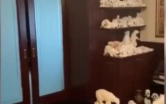 Обыск у Умки