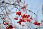 Прогноз погоди в Україні / Фото: pixabay