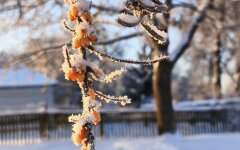 Прогноз погоды в Украине / Фото: РБК-Украина