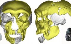 череп китай