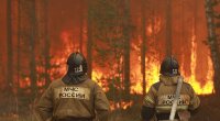 Пожары в РФ