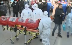 симптомы коронавируса по дням