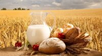Хліб та молоко, ціни на продукти