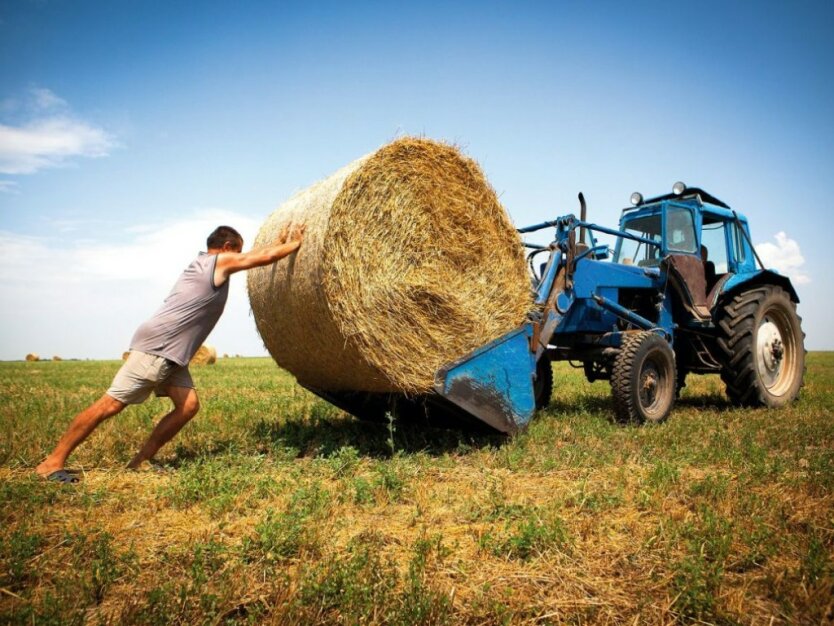 Фермеры в Украине