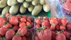 Цены на овощи и ягоды в Украине