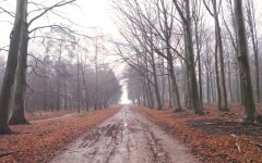 Погода в Украине, погода в ноябре, прогноз погоды