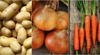 Ціни на картоплю цибулю та моркву