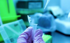 ученые лаборатория