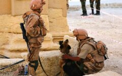 военные РФ_Пальмира