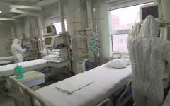 ВОЗ, коронавирус, Россия