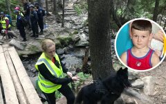 На Говерле потерялся ребенок: мальчика ищут второй день