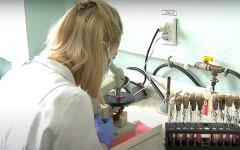 Карантин в Украине,Статистика заболеваемости COVID-19 в Украине,Коронавирус в Украине