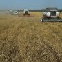 Аграрная отрасль Украины