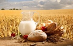 Хлеб и молоко, цены на продукты