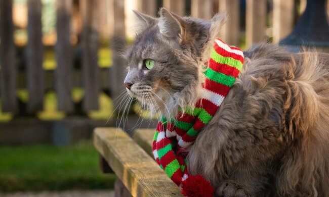 Прогноз погоди в Україні / Фото: Unsplash