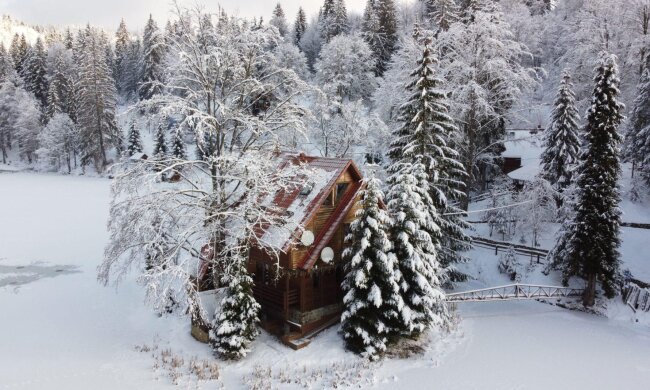 Отдых в Карпатах