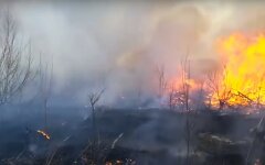 штраф за разведение огня,пожар в лесу,пожар в зоне отчуждения,штраф за сжигание травы