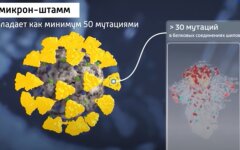 Коронавирус в Украине, рост заболеваемости, прогноз Минздрава, Омикрон
