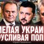 «Смелая» Украина и «трусливая» Польша: украинцам пора бы вытащить бревна из своих глаз