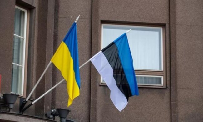 Украинцы в Эстонии / Фото: ArmyInform