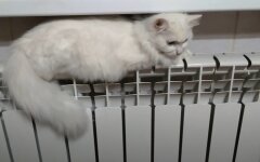 Повышение тарифов на тепло и горячую воду