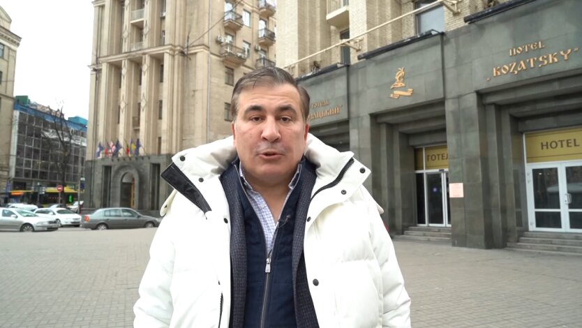 Михеил Саакашвили, приватизация