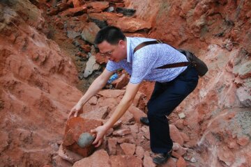 1514880698_china-egge-fossil