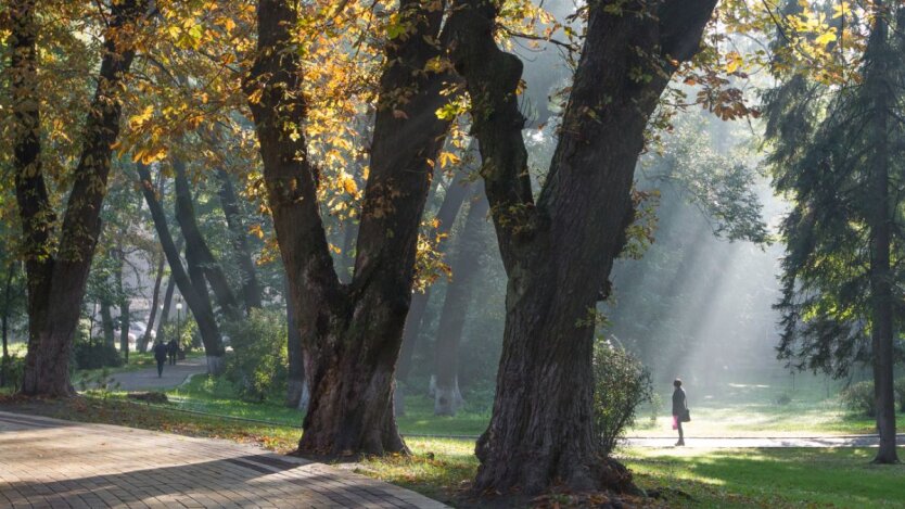 Прогноз погоды в Украине / Фото: Виталий Носач, РБК-Украина