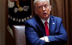 дональд трамп, насилие, выборы в сша