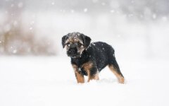 Прогноз погоды в Украине