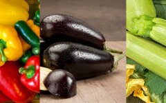 Цены на овощи, баклажаны, сладкий перец, кабачки