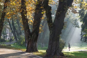 Прогноз погоди в Україні / Фото: Віталій Носач, РБК-Україна